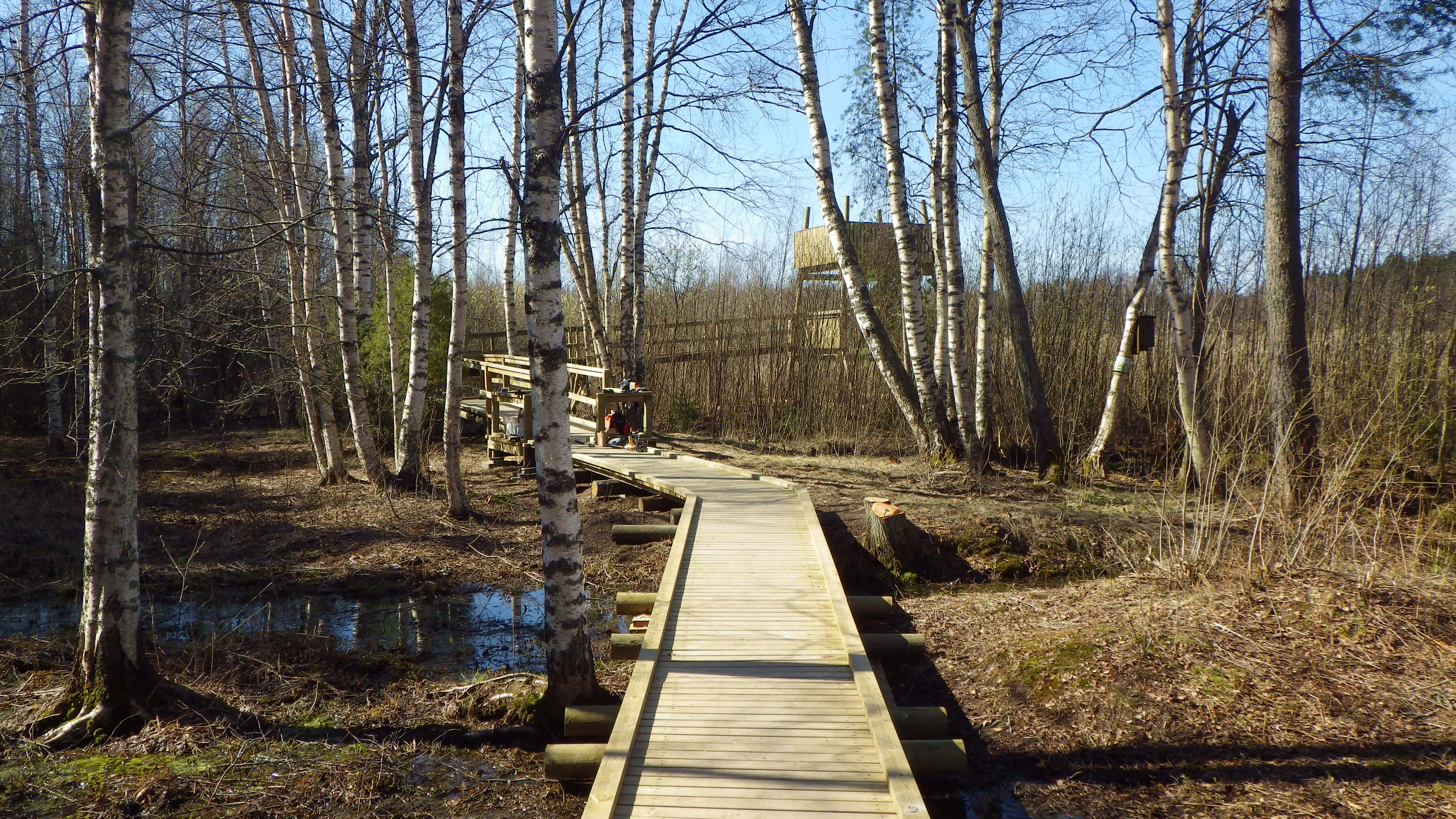 sylvojarvi2.JPG