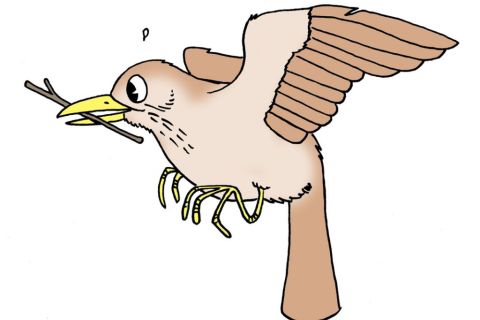 Lasten lintukävely Mukkulassa